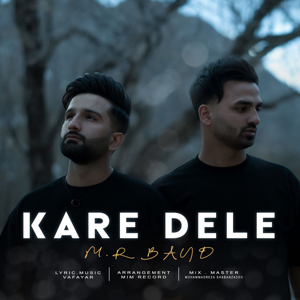 دانلود آهنگ کار دله